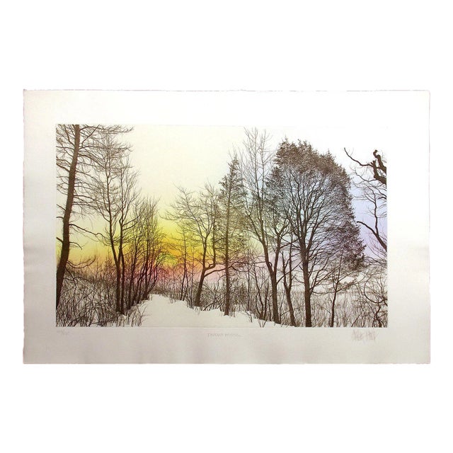 Franklin Galambos "Distant Mistic" Hand Tinted & Signed Art Etching For Sale