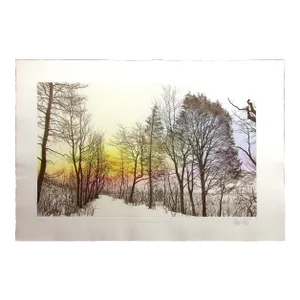 Franklin Galambos "Distant Mistic" Hand Tinted & Signed Art Etching