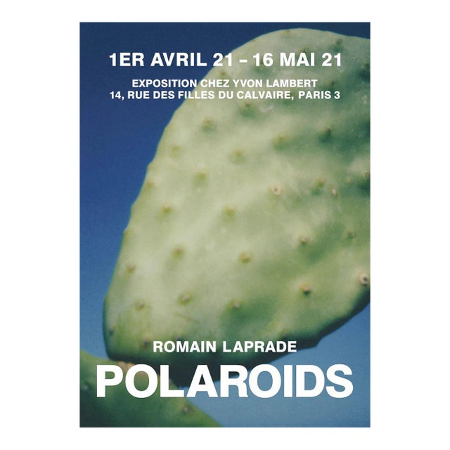 2021 Romain Laprade Polaroids Poster For Sale
