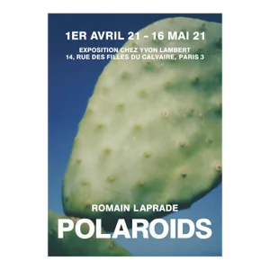 2021 Romain Laprade Polaroids Poster