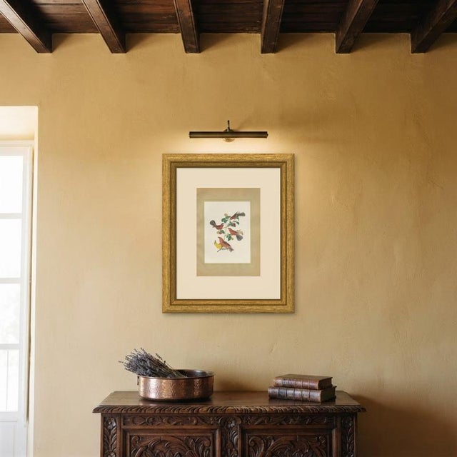 Descourtilz, Red Tanagers, Brazilian Bird Print,1944, Paper For Sale - Image 10 of 12