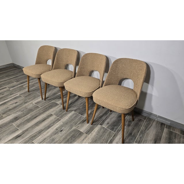 Dining Chairs by Oswald Haerdtl for Ton, 1950s, Set of 4 For Sale - Image 11 of 12