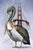 Waking from a Dream features a detailed depiction of a pelican intertwined with elements of urban architecture,...