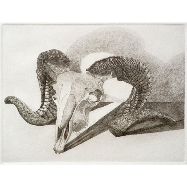 1970s 1970s Signed, Limited Edition Etchings of Ram Skulls by Elizabeth Quandt - Set of 4 For Sale - Image 5 of 9