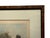 Late 19th Century Original 1881 Chromolithograph of Pointer Dog "Wagg" From Cassell's Illustrated Book of the Dog, by Vero Shaw For Sale - Image 5 of 9