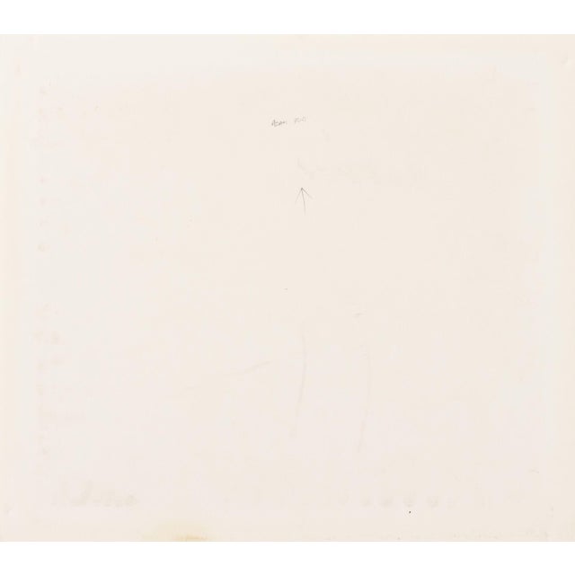 Adam Fuss Untitled (Starry Sky), 1997 For Sale In New York - Image 6 of 8