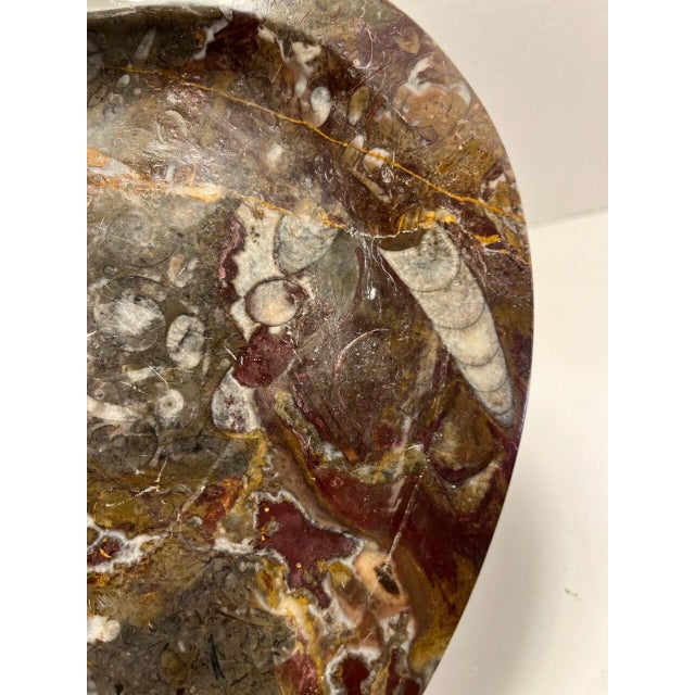 Rustic 1970s Rare Stone Fossil Plate Orthoceras Sea Shell Polished Brown Ammonite For Sale - Image 3 of 7