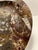 Rustic 1970s Rare Stone Fossil Plate Orthoceras Sea Shell Polished Brown Ammonite For Sale - Image 3 of 7