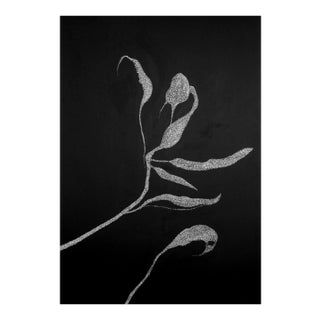 Secret Garden 03 by Alina Aldea For Sale