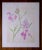 Vintage Style Floral, Original Botanical Sweet Peas Mixed Media Drawing For Sale - Image 4 of 4