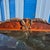Brown Thomasville Ernest Hemingway 70" Console Table Granite Mosaic Top Lion Hardware For Sale - Image 8 of 11