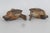Ceramic Stoneware Pottery Pair of 2 Sparrow Bird Figurines Brown Feather Details 4970b For Sale - Image 7 of 10