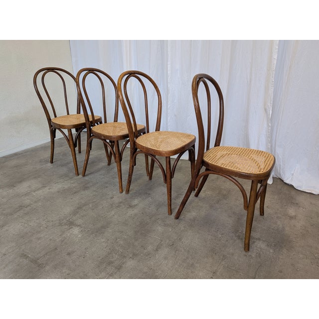 Vintage Dining Chairs with Bentwood Cane Seat, 1970s, Set of 4 For Sale - Image 4 of 18