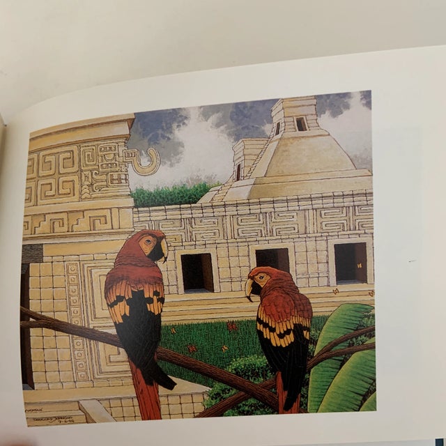 1990 Douglas Johnson Birds of Magic Book For Sale - Image 10 of 11