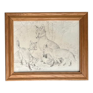 1970’s Original Fox Family Pencil Drawing