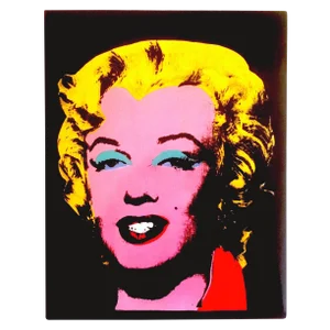 "Andy Warhol Retrospective " Volume Moca Exhibition Collector's Art Book