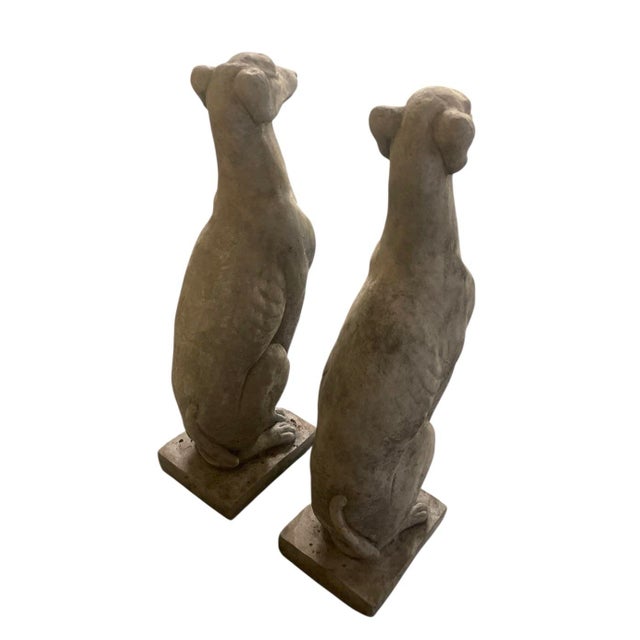 2000 - 2009 Pair of Neoclassical Style Cast Stone Seated Greyhounds For Sale - Image 5 of 6