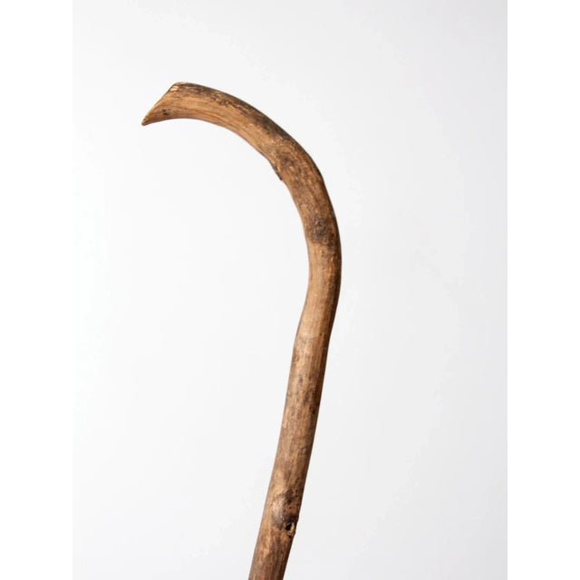 Antique Walking Stick For Sale - Image 10 of 11