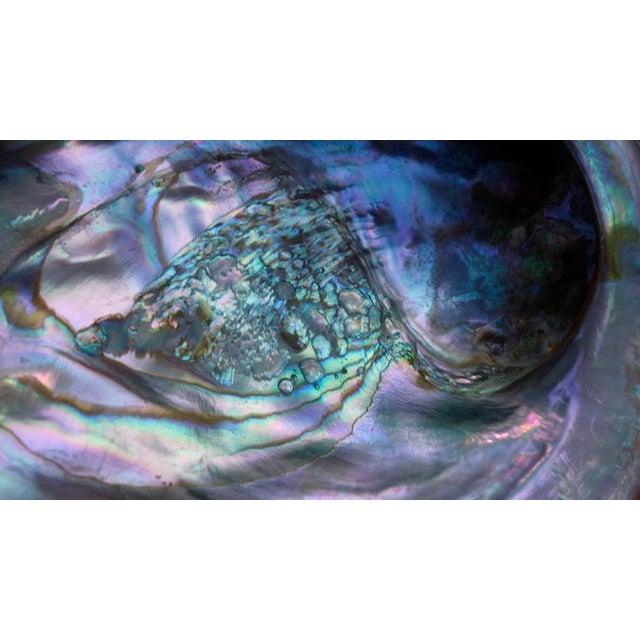 Red Abalone Shell, Coralized For Sale - Image 10 of 17