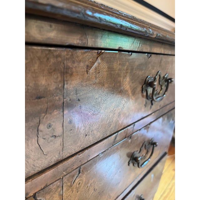 Brown Antique Burled Wood Veneer Bachelor’s Chest For Sale - Image 8 of 9