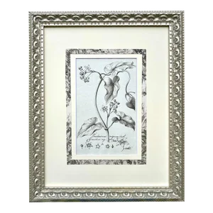 Original Antique Botanical Watercolor and Ink Painting by A. G. Weiss Circa 1865