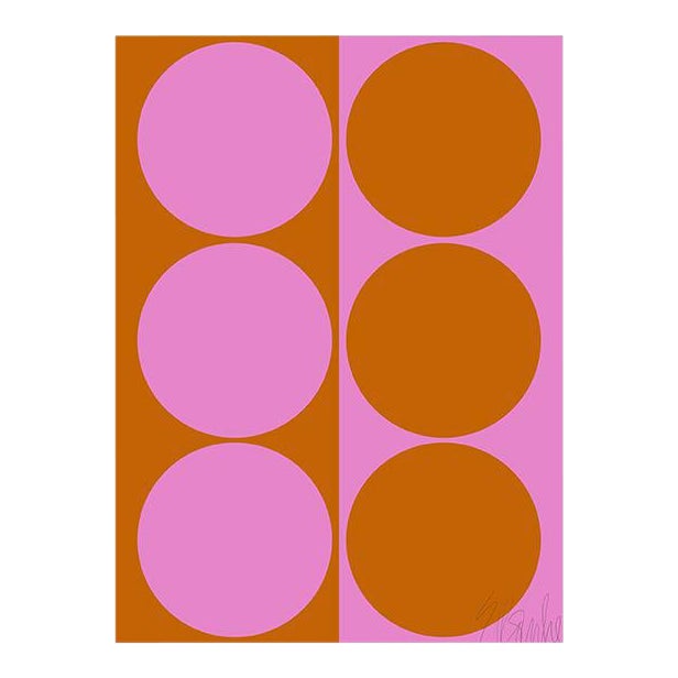 Dynamic Pair Pink and Amber Fine Art Print 32" X 45" by Liz Roache For Sale