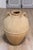 An early 19th century terracotta olive oil jar from Naples, Italy with twisted handles and rustic character. This early...