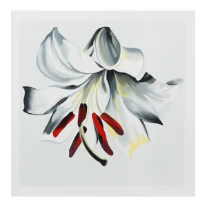 White Lily on White, Lowell Blair Nesbitt, Screenprint