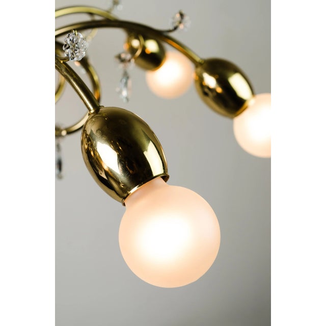 Mid-Century Austrian Chandelier, 1950s For Sale - Image 15 of 16
