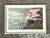 Rustic Vintage Audubon Print of Pink Spoonbill For Sale - Image 3 of 12