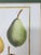 Vintage Hand Painted Botanical Lithograph Print Pears - Breant Sculp - L. B. Del - Matted For Sale - Image 10 of 13