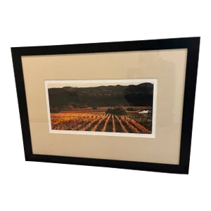 Napa Valley Photograph by Julie Ann Fineman