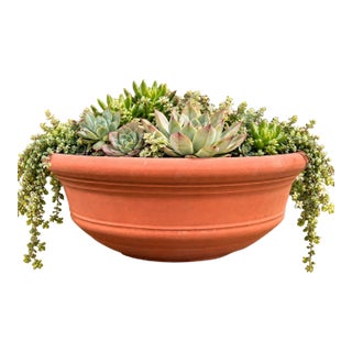 Vintage California Terracotta Bowl Planter Gainey Saucer Sc-14, 24" For Sale