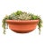 Vintage California Terracotta Bowl Planter Gainey Saucer Sc-14, 24" For Sale
