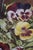 Brown 20th Century Still Life With Pansies Oil Painting After Henri Fantin-Latour 29" For Sale - Image 8 of 10