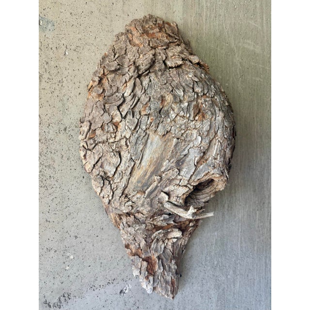 Folk Art Vintage Mid-Century American Folk Art Bird Nest Tree Bark Wall Sculpture For Sale - Image 3 of 7