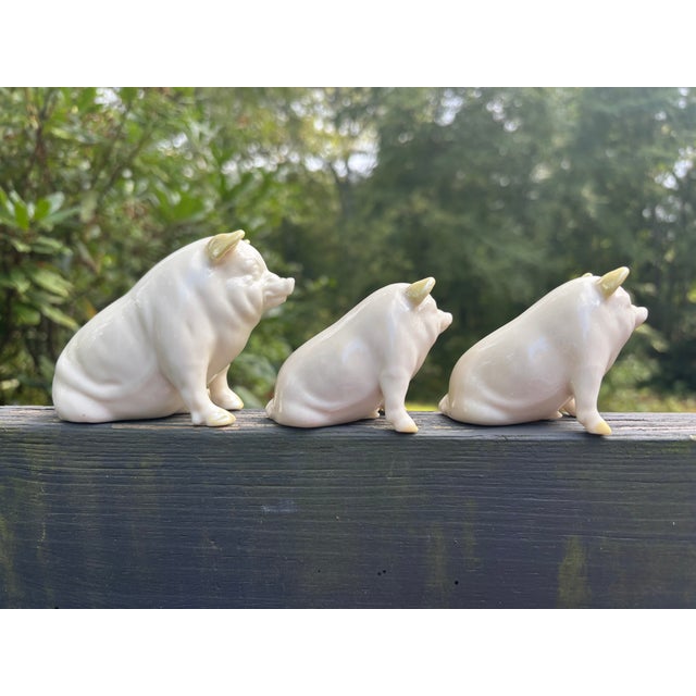 Adorable Trio Of Vintage Belleek Porcelain Pigs Made In Ireland. This amazing find at an Estate Sale, nearly had me...