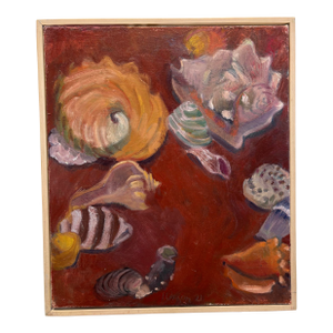 Contemporary Shell Still Life Oil Painting by Megan Williamson