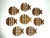 Mid-Century Modern Fish-Shaped Coasters in Teak, 1960s, Set of 8 For Sale - Image 10 of 10