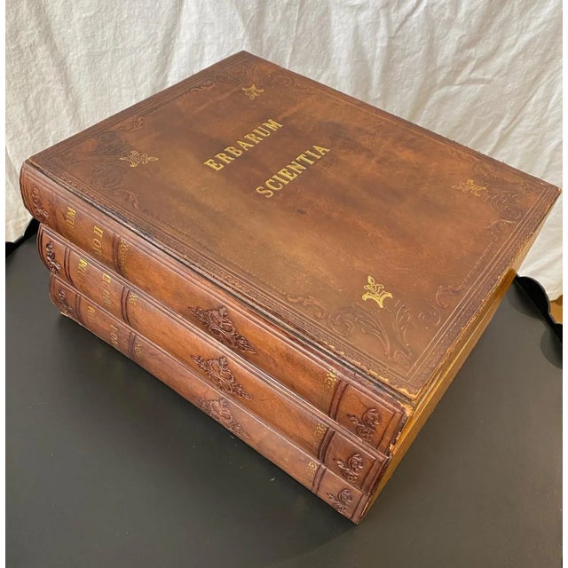 1980s Wooden Faux Books Exterior Hidden Decanter Holder For Sale - Image 12 of 12