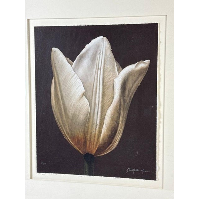 1990s John Matthew Moore "Madonna Tulipa" Signed Framed Limited Edition Print - 28/245 For Sale - Image 4 of 8