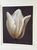 1990s John Matthew Moore "Madonna Tulipa" Signed Framed Limited Edition Print - 28/245 For Sale - Image 4 of 8