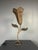 Wood Large Mid-Century French Rattan Wicker Flower Tulip Table Lamp, 1960s For Sale - Image 7 of 16