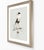 William Lewin 1789 Waterbirds Fine Art Gallery Board Print - The Ruff For Sale - Image 4 of 11