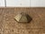 Mid 20th Century MCM Brass Flower Frog or Incense Holder For Sale - Image 5 of 9