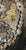 Modern Marcella Shelled Wall Plaque For Sale - Image 3 of 4