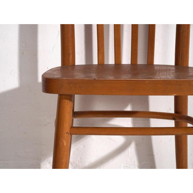 Chairs from Thonet, 1950s, Set of 2 For Sale - Image 10 of 12