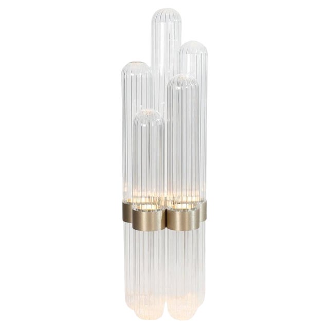 Cactus Big Floor Lamp Transparent by Pulpo For Sale