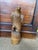 Large Antique Bamboo Hand Carved Eagle Meiji Period For Sale - Image 14 of 14