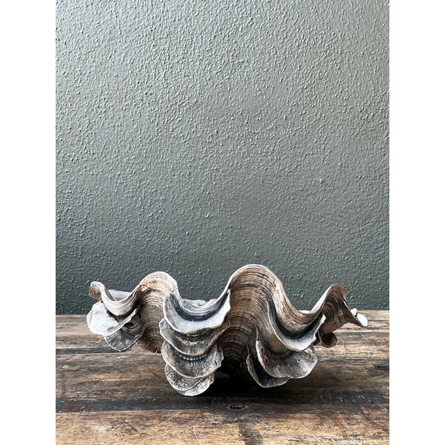 Late 20th Century Vintage Metal Dipped Ruffle Clam Shell For Sale - Image 5 of 12